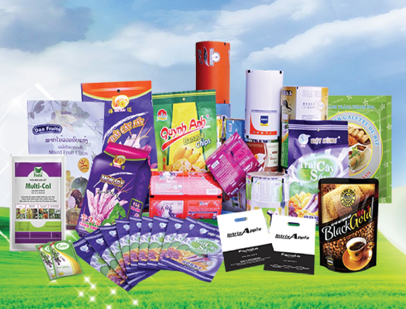 Những sản phẩm được đóng gói từ bao bì màng ghép phức hợp