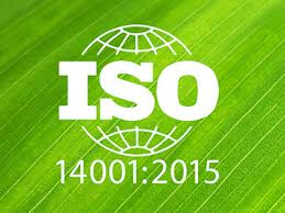 In7 đạt chứng nhận ISO 14001:2015 – Cam kết quản lý môi trường bền vững trong sản xuất bao bì